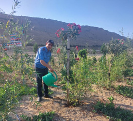 Sədərək Ticarət Mərkəzi Qaradağ Rayon İcra Hakimiyyətinin təşəbbüsü ilə keçirilən ümumrayon iməcliyinə qoşuldu