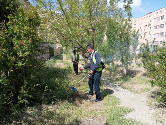 Qaradağ rayonunda ümumrayon iməcliyi keçirilib