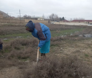 Qaradağ rayonunda təmizlik işləri davam etdirilir