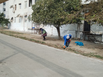 Qaradağ rayonunda təmizlik işləri görülür