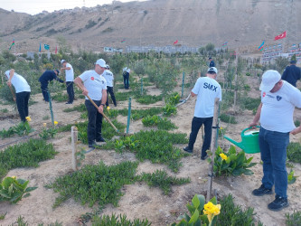 Sədərək Ticarət Mərkəzi Qaradağ Rayon İcra Hakimiyyətinin təşəbbüsü ilə keçirilən iməcliyə qoşuldu