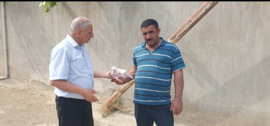 Müqəddəs Qurban Bayramı Qaradağ rayonunda geniş qeyd olunmuşdur.
