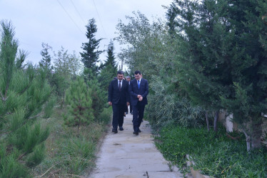 Vətən Müharibəsi şəhidi Əhmədov Cavanşir Xeyrulla oğlunun altıncı ildönümü münasibəti ilə anım mərasimi keçirilib.