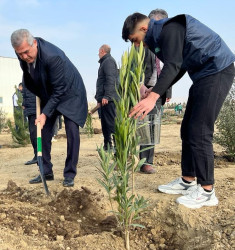 Heydər Əliyevin 100 illiyinə həsr olunmuş ağacəkilmə aksiyası davam edir