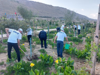 Sədərək Ticarət Mərkəzi Qaradağ Rayon İcra Hakimiyyətinin təşəbbüsü ilə keçirilən iməcliyə qoşuldu