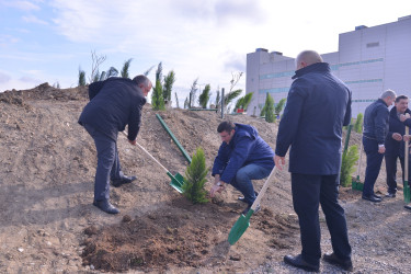 “Yaşıl dünya naminə həmrəylik ili” elan edilməsi ilə əlaqədar “Ağacəkmə aksiyası” keçirilmişdir