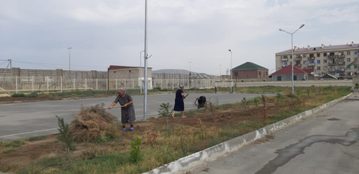 Qaradağ rayonunda yerləşən təhsil müəssisələri Ulu Öndər Heydər Əliyevin anadan olmasının 100-cü ildönümü ilə bağlı Qaradağ Rayon İcra Hakimiyyətinin təşəbbüsü ilə keçirilən iməcliyə qoşuldu.