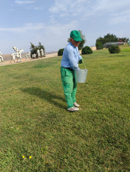 Qaradağda yaşıllaşdırma və ekoloji tədbirlər ardıcıl şəkildə davam etdirilir
