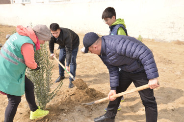 Ulu Öndər Heydər Əliyevin 100 illiyinə həsr olunmuş ağacəkilmə aksiyası davam edir