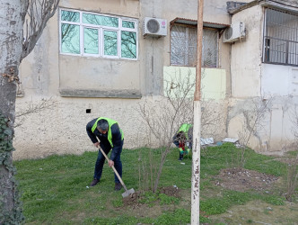 Qaradağ rayonu Müşviqabad qəsəbəsində təmizlik və abadlıq işləri həyata keçirilmişdir
