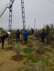 Ə.Əmirov adına NQÇİ Qaradağ Rayon İcra Hakimiyyətinin təşəbbüsü ilə keçirilən ümumrayon iməcliyinə qoşuldu