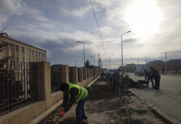 Qaradağ rayonunda yeni ağacların əkilməsi üçün hazırlıq işləri görülür