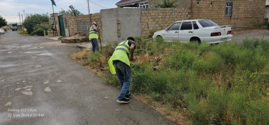 Puta qəsəbəsində təmizlik işləri görülmüşdür