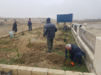 Korgöz qəsəbə qəbristanlığında növbəti ağac əkmə işləri görüldü