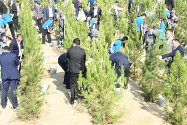 Qaradağ rayonunda 27 Sentyabr – Anım Gününə həsr olunmuş ağacəkmə aksiyası keçirilib