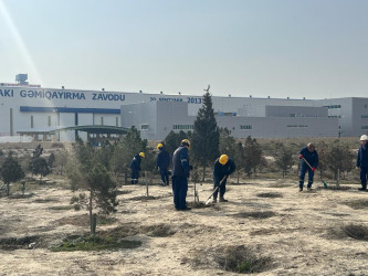 Bakı Gəmiqayırma Zavodu Ulu Öndər Heydər Əliyevin anadan olmasının 100-cü ildönümü ərəfəsində iməcilik keçirilib