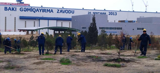 Bakı Gəmiqayırma Zavodu Qaradağ Rayon İcra Hakimiyyətinin təşəbbüsü ilə keçirilən iməcliyə qoşuldu