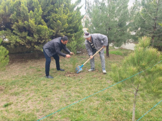 “Şəhərsalma və Memarlıq ili” çərçivəsində Qaradağ rayonu Korgöz qəsəbəsində iməclik aksiyası keçirilmişdir.