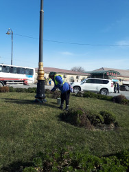 Qaradağ rayonunda iməclik işləri davam etdirilir