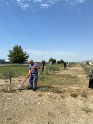 Qaradağ Şüşə Zavodu Ulu Öndər Heydər Əliyevin anadan olmasının 100-cü ildönümü ilə bağlı Qaradağ Rayon İcra Hakimiyyətinin təşəbbüsü ilə keçirilən ümumrayon iməcliyə qoşuldu