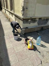 Qaradağ rayonunda abadlıq işləri davam etdirilir