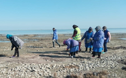 Qaradağ rayonunda təmizlik işləri davam etdrilir