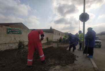 Qaradağ rayonunda ağac əkiləcək ərazilərdə münbit torpaqlar yayılır