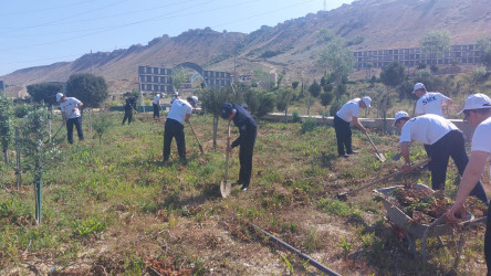 Sədərək Ticarət Mərkəzi Qaradağ rayonunda keçirilən ümumrayon iməcliyində fəal iştirak edib