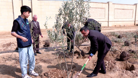 Görkəmli oftalmoloq Zərifə xanım Əliyevanın 100 illiyinə həsr olunmuş ağacəkilmə aksiyası davam edir