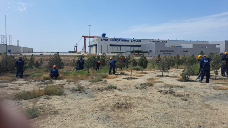 Gəmiqayırma zavodu Ulu Öndər Heydər Əliyevin anadan olmasının 100-cü ildönümü ilə bağlı Qaradağ Rayon İcra Hakimiyyətinin təşəbbüsü ilə keçirilən ümumrayon iməcliyə qoşuldu