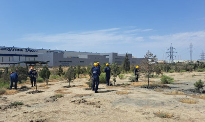 Gəmiqayırma zavodu Ulu Öndər Heydər Əliyevin anadan olmasının 100-cü ildönümü ilə bağlı Qaradağ Rayon İcra Hakimiyyətinin təşəbbüsü ilə keçirilən ümumrayon iməcliyə qoşuldu