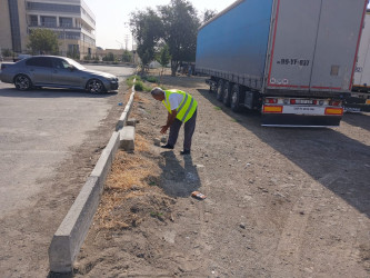 Qobustan qəsəbəsində yol kənarında alaqlardan təmizlənmə işləri aparılır