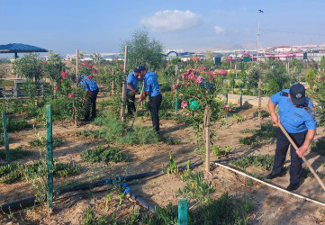 Sədərək Ticarət Mərkəzi Qaradağ Rayon İcra Hakimiyyətinin təşəbbüsü ilə keçirilən ümumrayon iməcliyinə qoşuldu