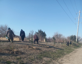 Qaradağ rayonunda təmizlik işləri görülür