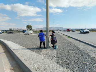 Qaradağ rayonunda ümumrayon iməcliyi keçirilib