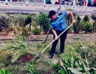 Sədərək Ticarət Mərkəzi Qaradağ Rayon İcra Hakimiyyətinin təşəbbüsü ilə keçirilən iməcliyə qoşuldu