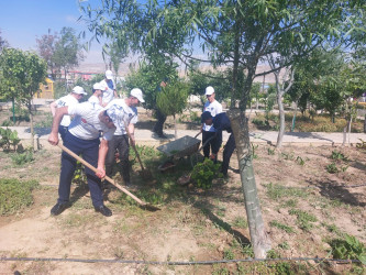 Qaradağ rayonunda ümumrayon iməcliyi keçirilib