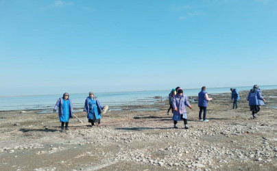 Qaradağ rayonunda təmizlik işləri davam etdrilir