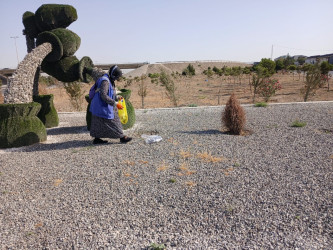 Qobustan qəsəbəsində yol kənarında alaqlardan təmizlənmə işləri aparılır