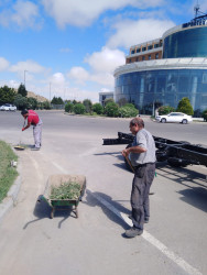 İmprotex Qroup Qaradağ Rayon İcra Hakimiyyətinin təşəbbüsü ilə keçirilən iməcliyə qoşuldu