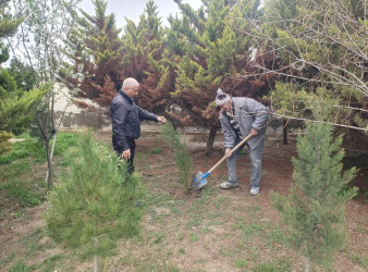 “Şəhərsalma və Memarlıq ili” çərçivəsində Qaradağ rayonu Korgöz qəsəbəsində iməclik aksiyası keçirilmişdir.
