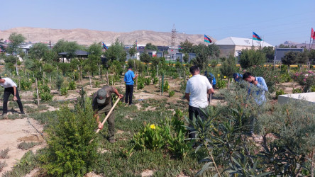 Sədərək TM-nin kollektivi Qaradağ Rayon İcra Hakimiyyətinin təşəbbüsü ilə keçirilən iməcliyə qoşuldu