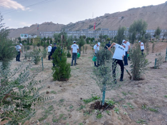 Sədərək Ticarət Mərkəzi Qaradağ Rayon İcra Hakimiyyətinin təşəbbüsü ilə keçirilən iməcliyə qoşuldu