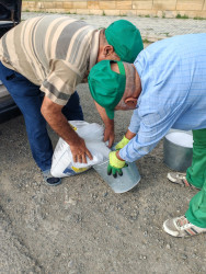 Qaradağda yaşıllaşdırma və ekoloji tədbirlər ardıcıl şəkildə davam etdirilir