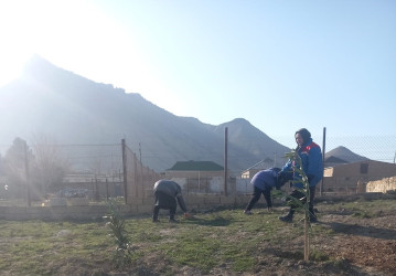 Qaradağ rayonunda təmizlik işləri görülür