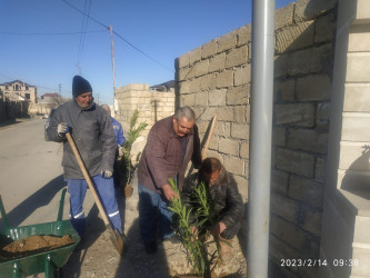 14.02.2023 cu il tarixdə Qaradağ Rayon Puta Qəsəbəsində şəhidimiz Əliyev Aslan Eldar oğlunun atasının iştirakı ilə şəhidimizin adına salinmiş bulaq kompleksinin yanına və kənarlarına həmişəyaşıl ağaclar əkilir.