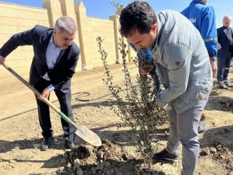 Ulu Öndər Heydər Əliyevin 100 illiyinə həsr olunmuş ağacəkilmə aksiyası davam edir