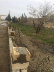 Qobustan qəsəbəsinin Salyan yolu kücəsində yol kənarında hal-hazırda park tikintisi davam etdirilir.