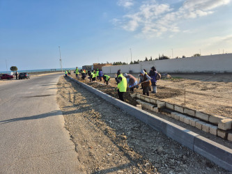 Sanqaçal qəsəbəsində təmizlik və infrastruktur İslahatları: COP 29 ərəfəsində ekoloji addımlar