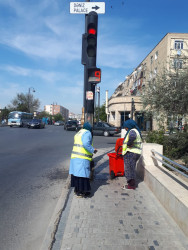 Qaradağ rayonunda iməclik işləri davam etdirilir